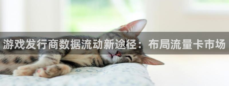 db电竞品牌顾问有限公司：游戏发行商数据流动新途径：布局流量卡市场