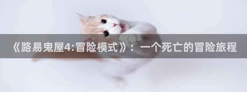 db电竞官网代理注册不了：《路易鬼屋4:冒险模式》：一个死亡的冒险旅程