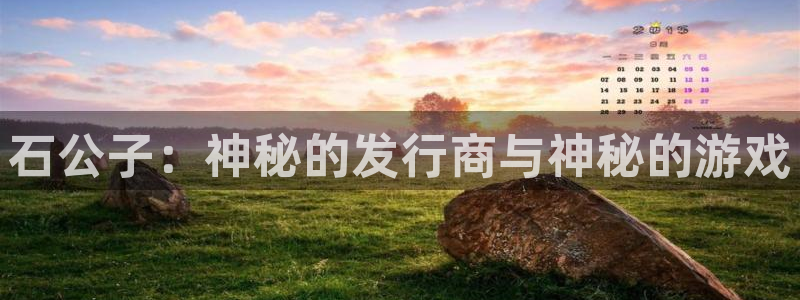 db电竞子代表什么意思：石公子：神秘的发行商与神秘的游戏