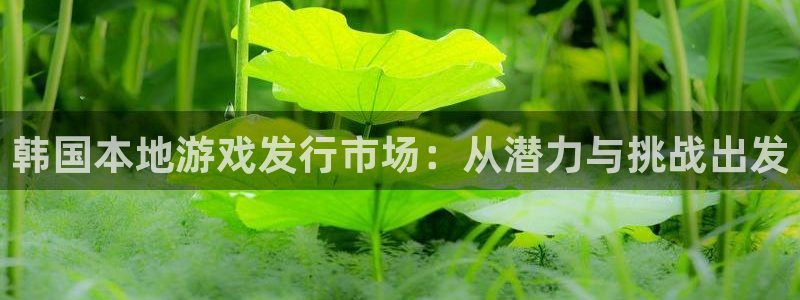db电竞官网平台代理条件：韩国本地游戏发行市场：从潜力与挑战出发