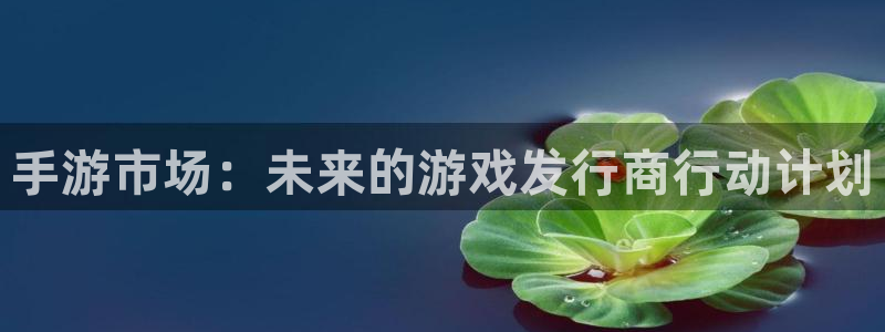 db电竞子 到底怎么样：手游市场：未来的游戏发行商行动计划