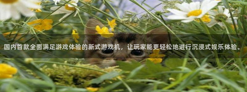 db电竞官网注册平台：国内首款全面满足游戏体验的新式游戏机，让玩家能更轻松地进行沉浸式娱乐体验。