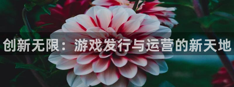 db电竞官网登录注册账号是什么意思：创新无限：游戏发行与运营的新天地