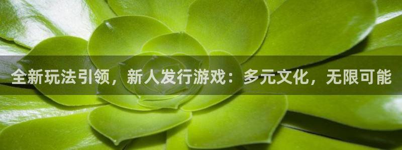 db电竞官网平台招商qq：全新玩法引领，新人发行游戏：多元文化，无限可能