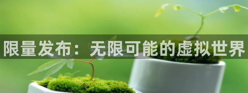 db电竞官网登录注册失败：限量发布：无限可能的虚拟世界