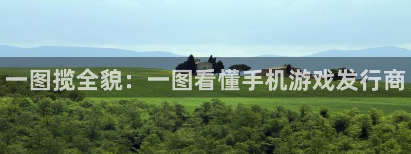 db电竞官网注册方法视频下载：一图揽全貌：一图看懂手机游戏发行商