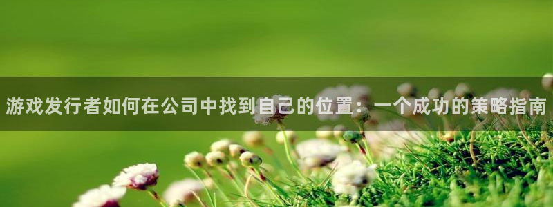 db电竞子最好看的小说：游戏发行者如何在公司中找到自己的位置：一个成功的策略指南