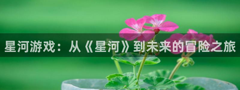db电竞官网注册方法是什么：星河游戏：从《星河》到未来的冒险之旅