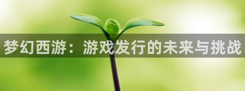 db电竞官网代理开号平台