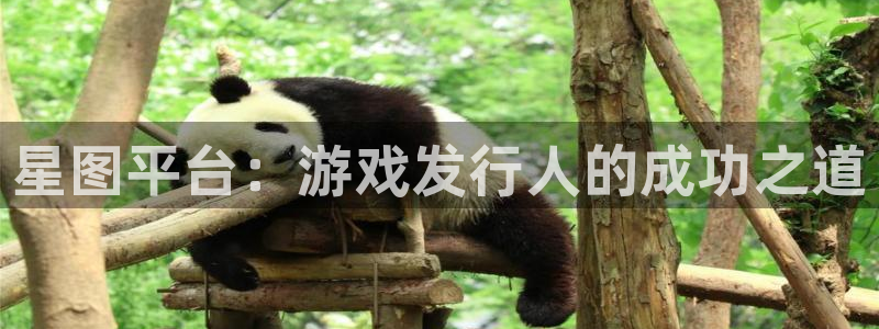 db电竞官网注册地址查询官网：星图平台：游戏发行人的成功之道
