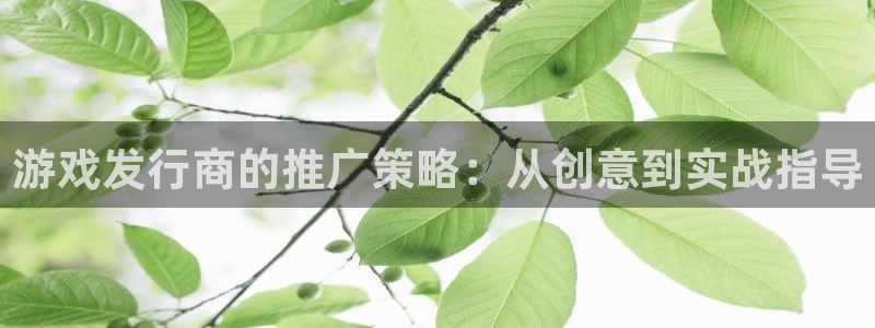 db电竞子音乐