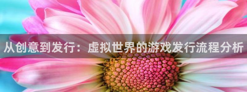 db电竞官网登录注册账号安全吗：从创意到发行：虚拟世界的游戏发行流程分析