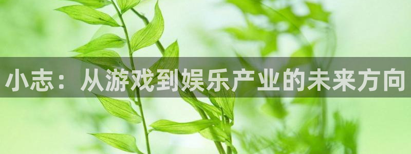 db电竞官网注册平台怎么注册的：小志：从游戏到娱乐产业的未来方向
