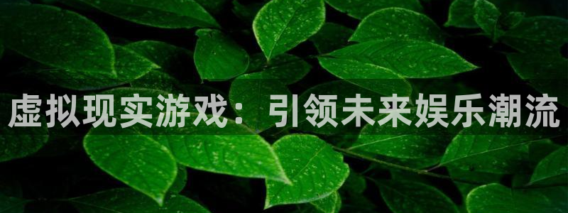 db电竞子代表什么意思：虚拟现实游戏：引领未来娱乐潮流