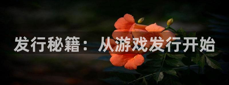 db电竞官网客服电话号码：发行秘籍：从游戏发行开始