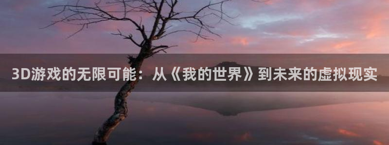 db电竞子集团：3D游戏的无限可能：从《我的世界》到未来的虚拟现实